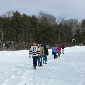 Snowy Walk