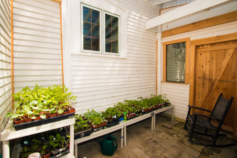 Seedlings ready to be planted at a residential care home for mentally ill adults